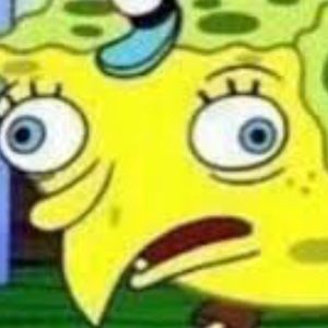 Meet your Posher, Genesis